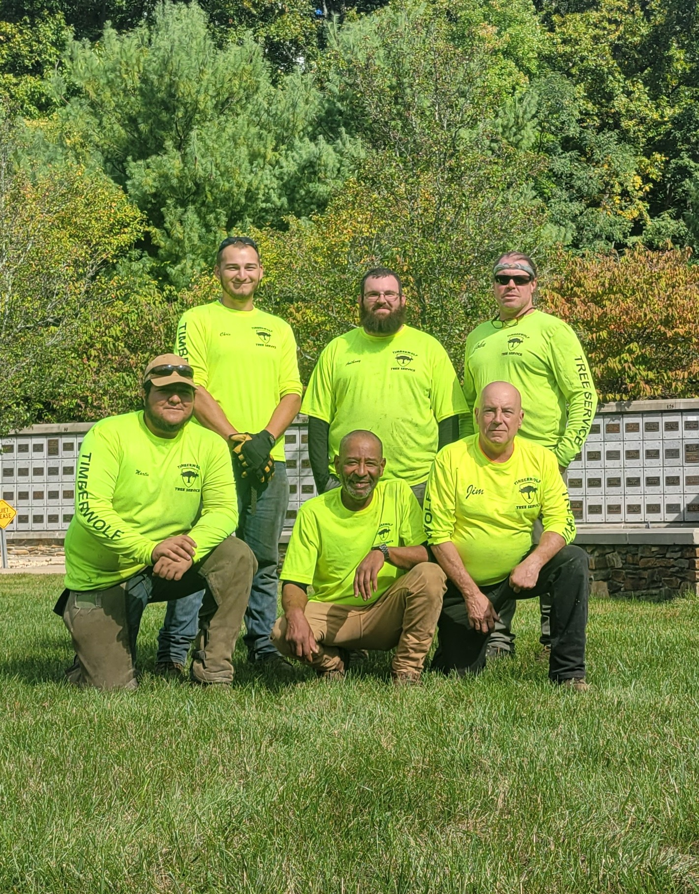 Tree Service Timberwolf Tree Service