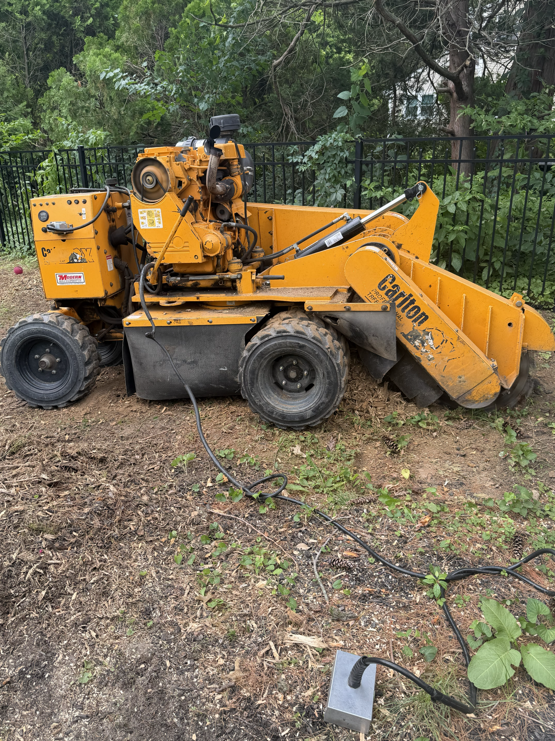Timberwolf Tree Service Stump Grinder